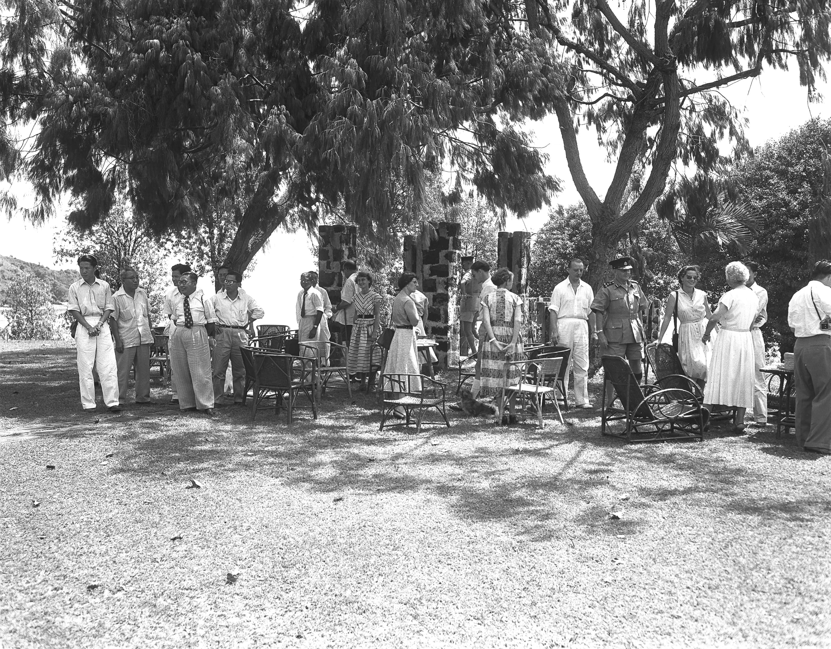 People in various attire are gathered outdoors among trees, standing and chatting near empty chairs and tables.